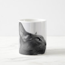 Oriental Shorthair Cat Mug