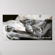 Oriental Shorthair Cat Print