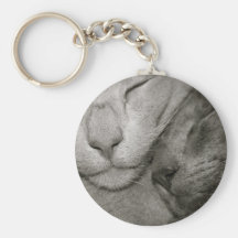 Oriental Shorthair Cats Keyring Keychains