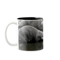 Oriental Small-Clawed Otters - Drinking mugs