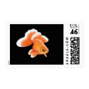 Oriental Tosakin Fantail Goldfish Postage postage by twopurringcats Oriental Tosakin Fantail Goldfish Postage postage