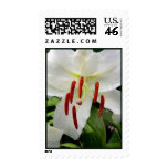 Oriental White Lily postage
