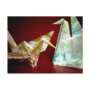 Origami Cranes %u2022 Postcard postcard