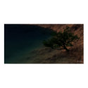 Origin Of Tranquility - Extreme posters by 3dartwork Origin Of Tranquility - Extreme posters