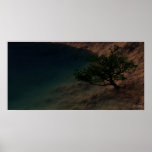Origin Of Tranquility - Extreme Poster
