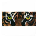 Original Art - Tiger Eyes posters