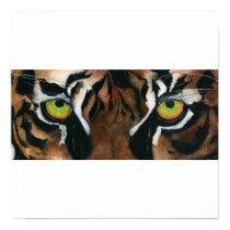 Original Art - Tiger Eyes posters by SOGI_Staff Original Art - Tiger Eyes posters