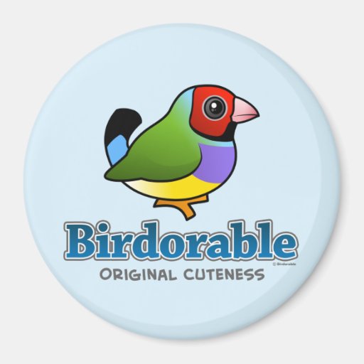 Original Cuteness Gouldian Finch Magnet