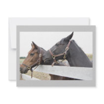 Original Horse Whisperer invitations by Incatneato Original Horse Whisperer invitations