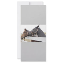 Original Horse Whisperer Full Color Rack Card