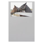 Original Horse Whisperer Customized Stationery