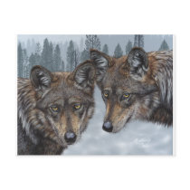 Original Mexican Gray Wolf Art Postcards