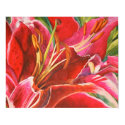 Original Red Lily Watercolor Canvas Print Design by michelleys Original Red Lily Watercolor Canvas Print Design