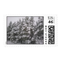 Original Snowscape, Conifer, CO Postage
