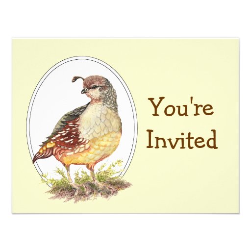 Original Watercolor California Quail Bird Invites