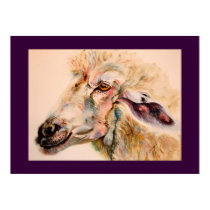 Original Watercolor Sheep Farm Animal Poster posters