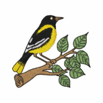 Oriole embroidered shirts