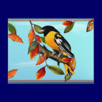 Oriole In Fall   Postcard postcards