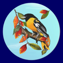 Oriole In Fall Stickers stickers