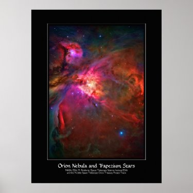 Orion Nebula and Trapezium Stars Posters