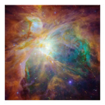 Orion Nebula Photo photography