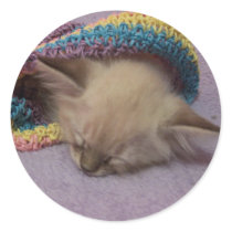 Orlando the siamese stickers