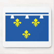 Orleanais Flag Mousepad by FlagTshirts Orleanais Flag Mousepad