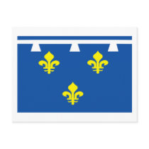 Orleanais Flag Postcard by FlagTshirts Orleanais Flag Postcard