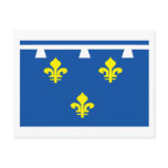 Orleanais Flag Postcard