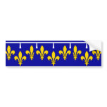 Orleanais, France flag Bumper Sticker