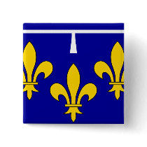 Orleanais, France flag Pins