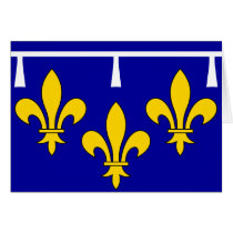 Orleanais, France flag Greeting Cards