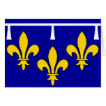 Orleanais, France flag Greeting Cards