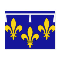 Orleanais, France flag Post Card