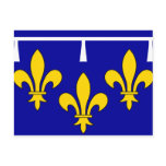 Orleanais, France flag Post Card