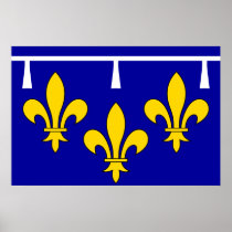 Orleanais, France flag Print