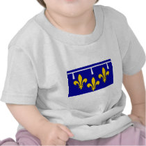 Orleanais, France flag Tshirts