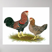Orloff:  Spangled Pair Print