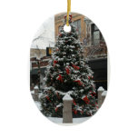 Ornament ornaments