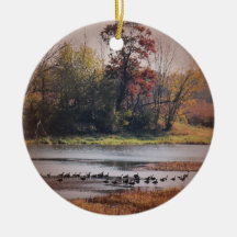 Ornament for Nature Lover