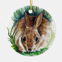 Ornament Rabbit Hiding in Grass, Watercolor Pencil