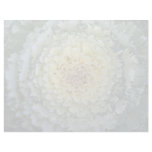 Ornamental cabbage texture customized letterhead