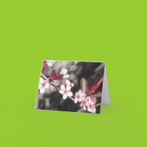 Ornamental Cherry Blossoms Card cards