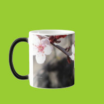 Ornamental Cherry Blossoms Mug