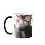 Ornamental Cherry Blossoms Mug