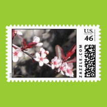 Ornamental Cherry Blossoms Postage postage