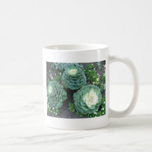 ornamental kale coffee mugs