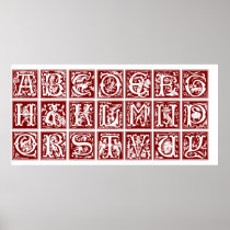 Ornamental Latin Alphabet from the 16th Century Print