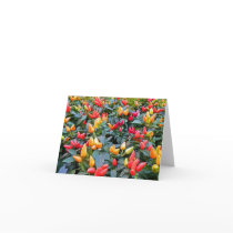 Ornamental Peppers Note Card by JeanBHall Ornamental Peppers Note Card