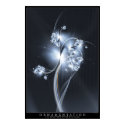 Ornamentation posters by creativ82 Ornamentation posters